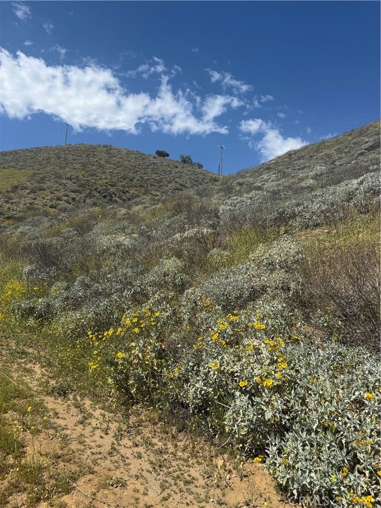 Photo of Listing #SW26043681