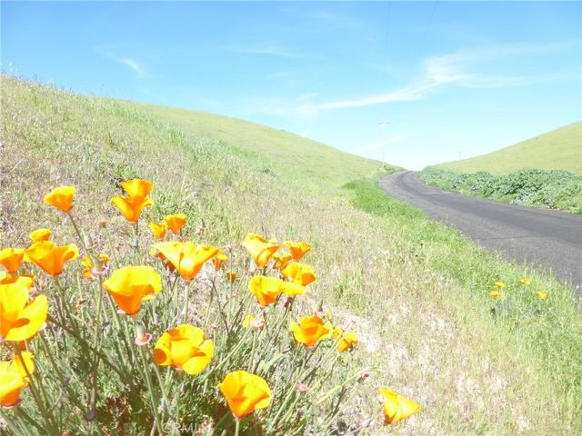 Douglas Rd. (lots 28, 33 & 34), San Miguel