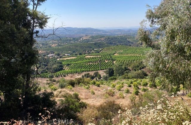 37 El Calamar Road, Temecula