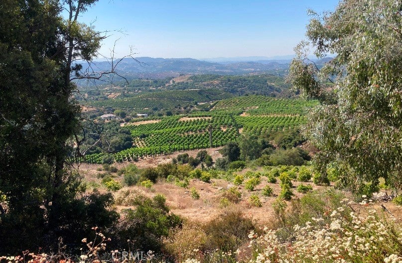 Photo of Listing #SW26056511