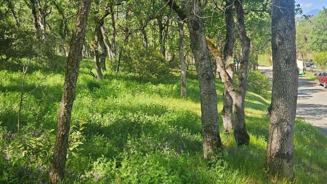 15583 33rd Avenue, Clearlake