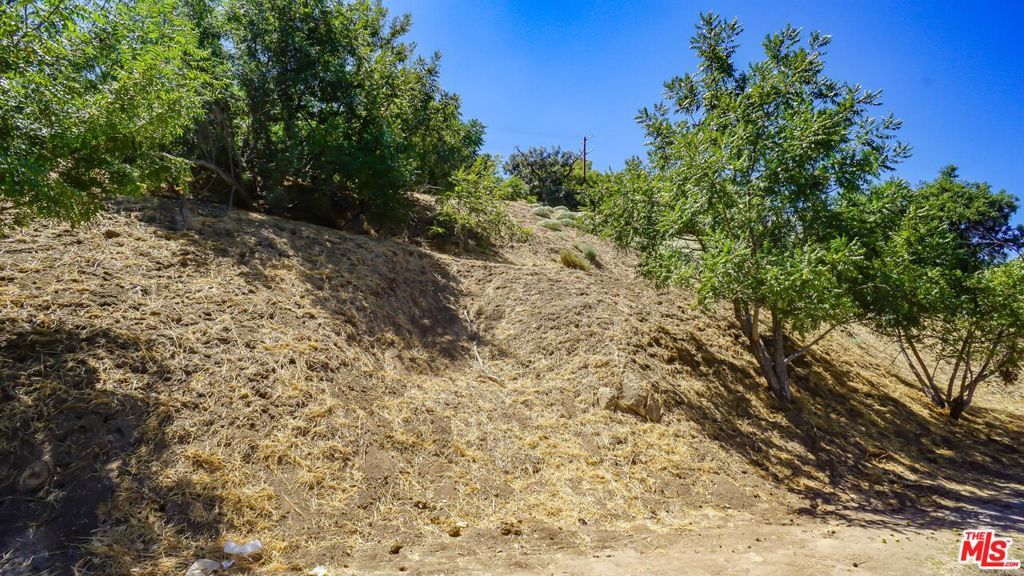 Photo of Listing #26665199