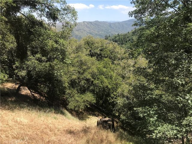 Buck Road, Cedarpines Park
