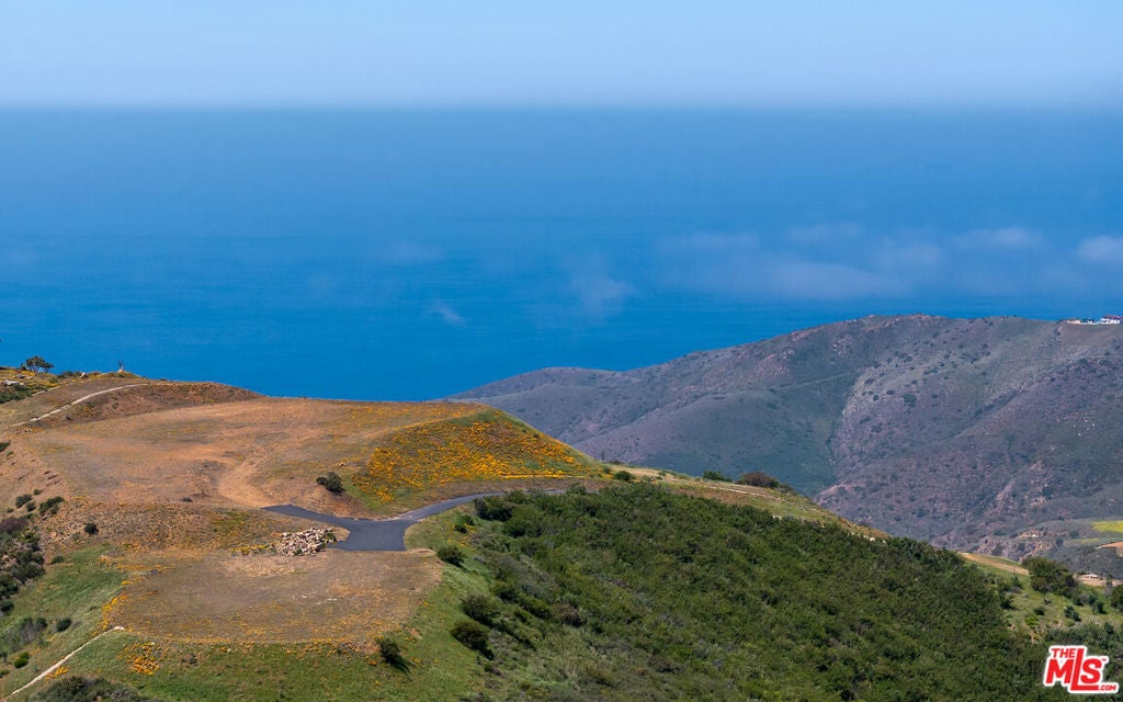 Photo of Listing #26665655