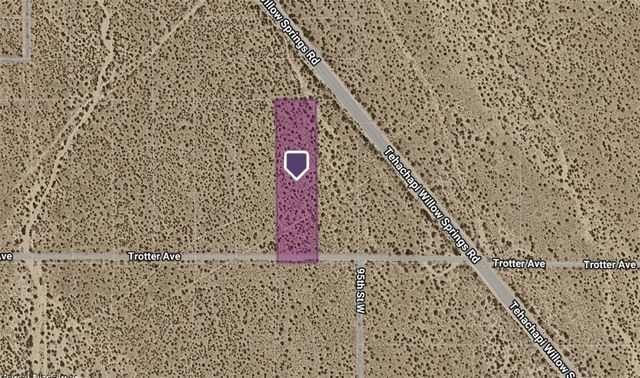 Trotter Avenue, Rosamond