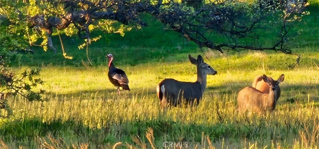 Photo of Listing #MC26054680