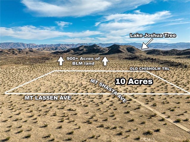 Mt Shasta Ave, Joshua Tree