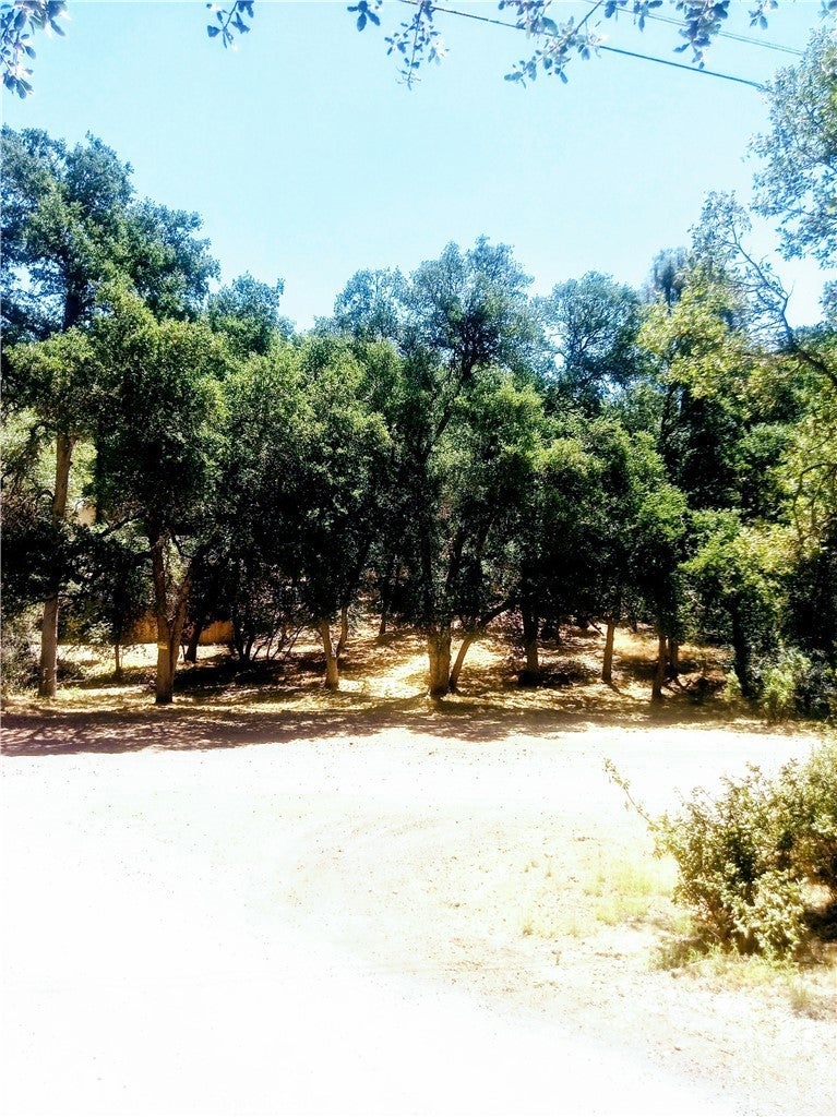 Photo of Listing #SN26058732