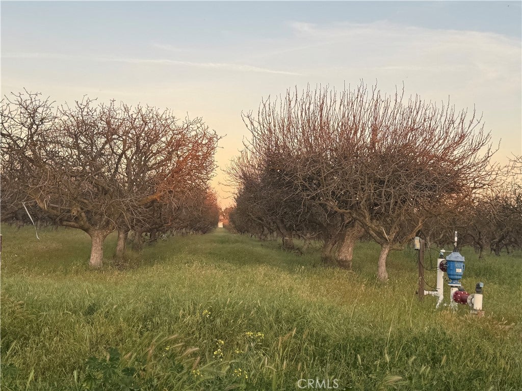 Photo of Listing #MC26058749