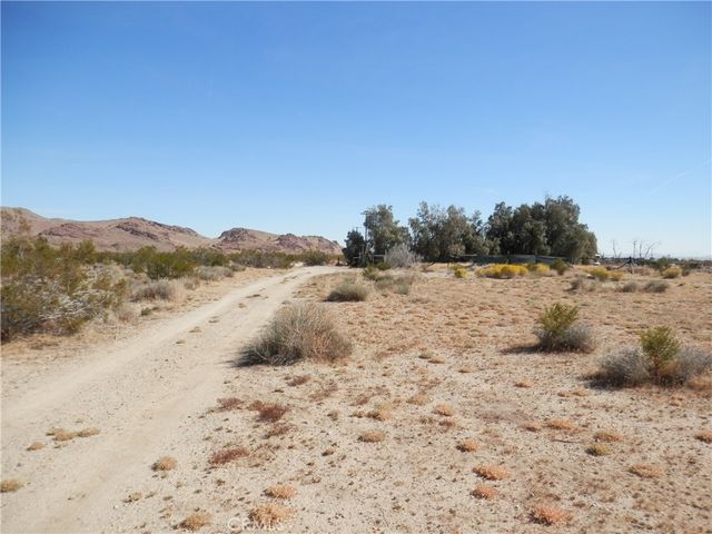 Dawn Road, Rosamond