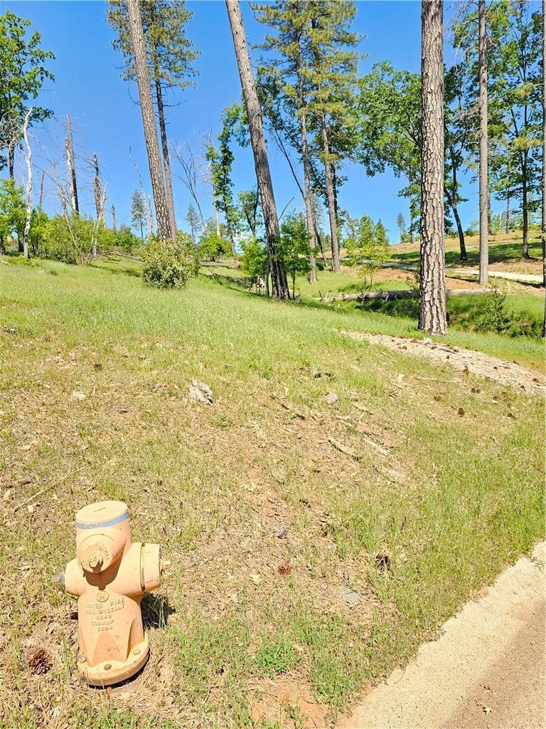 Photo of Listing #PA26060096