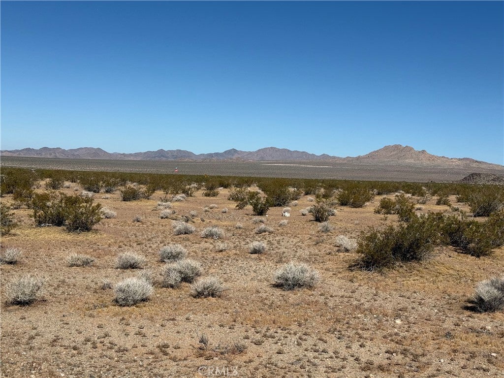 Photo of Listing #JT26060178