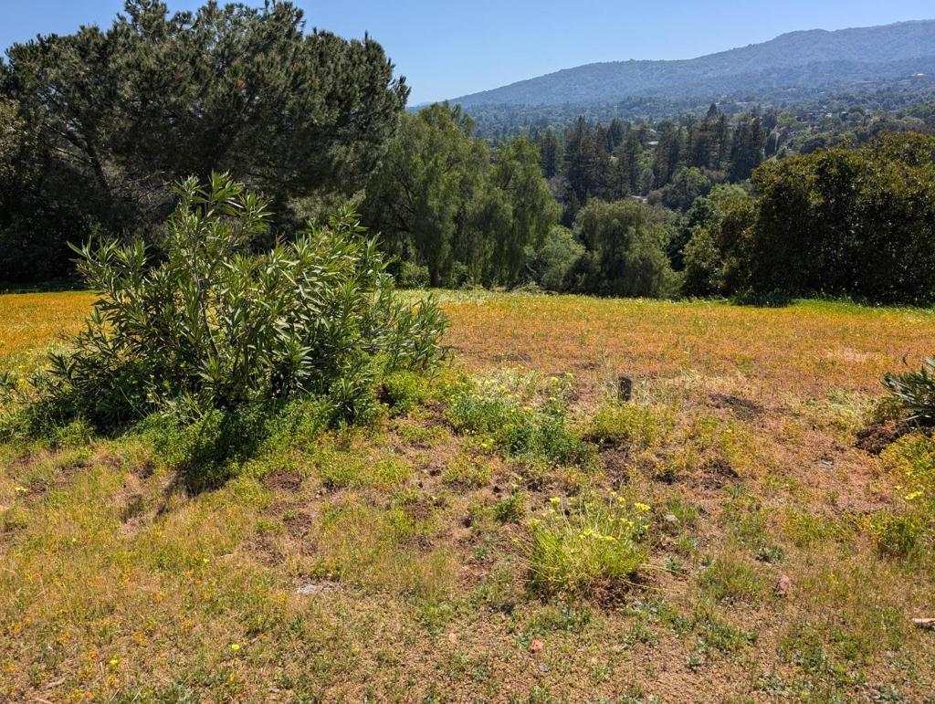 Photo of Listing #ML82039394