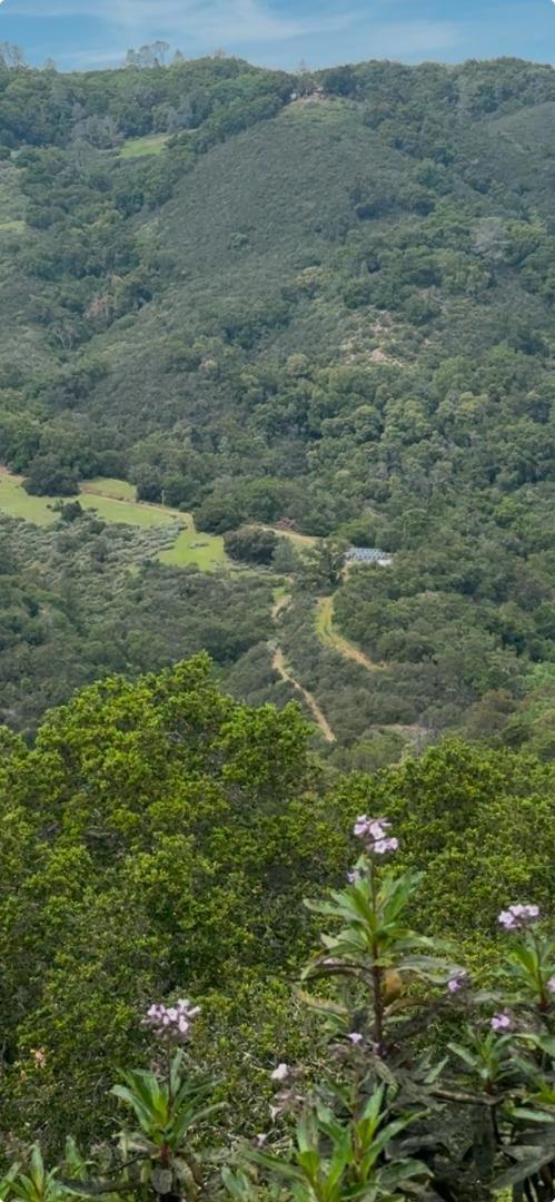 Photo of Listing #ML82039509