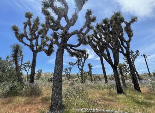 7777 Onaga Trail, Yucca Valley