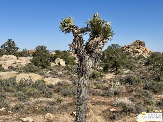 900 Parsons Ranch Road, Pioneertown