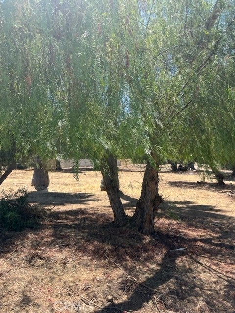 Photo of Listing #IV26061237