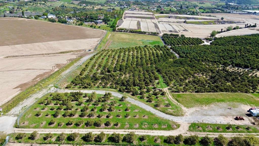 Photo of Listing #NDP2602679