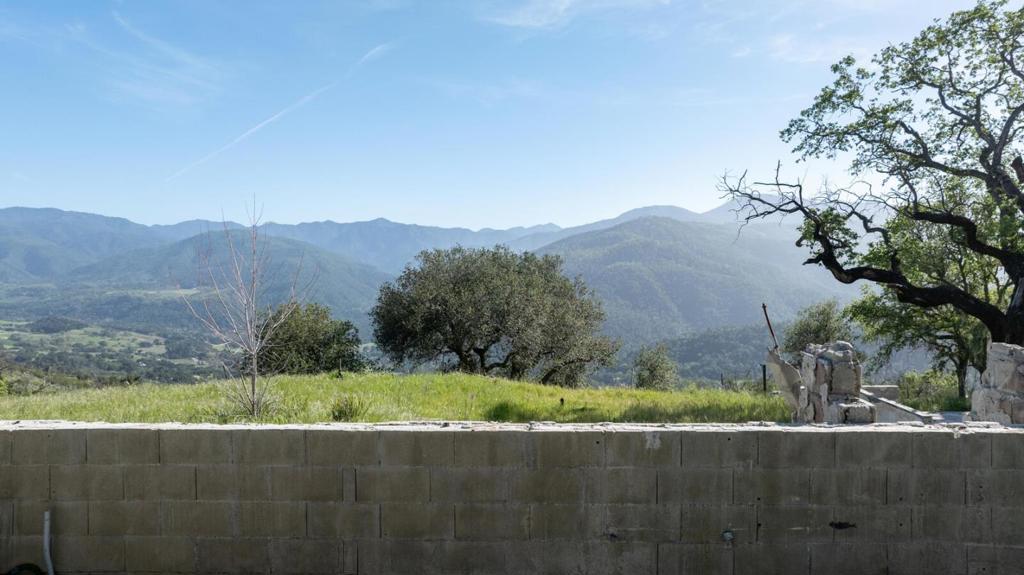 Photo of Listing #ML82039777