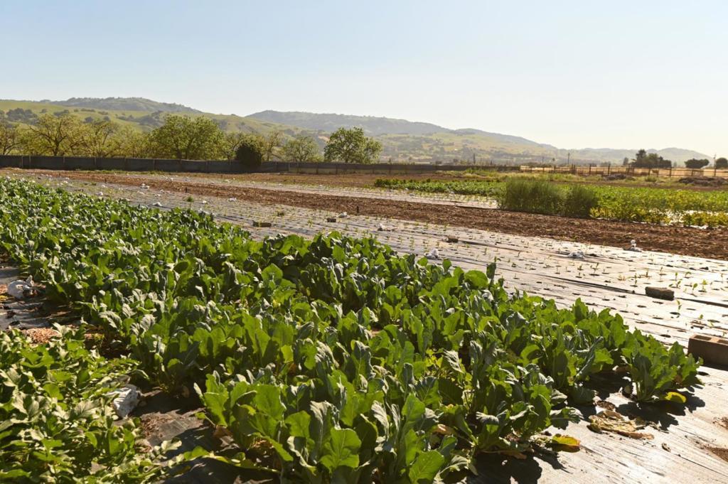 Photo of Listing #ML82039844