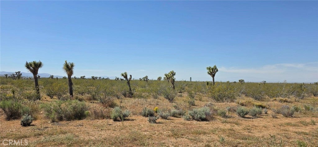 Photo of Listing #SR26057908