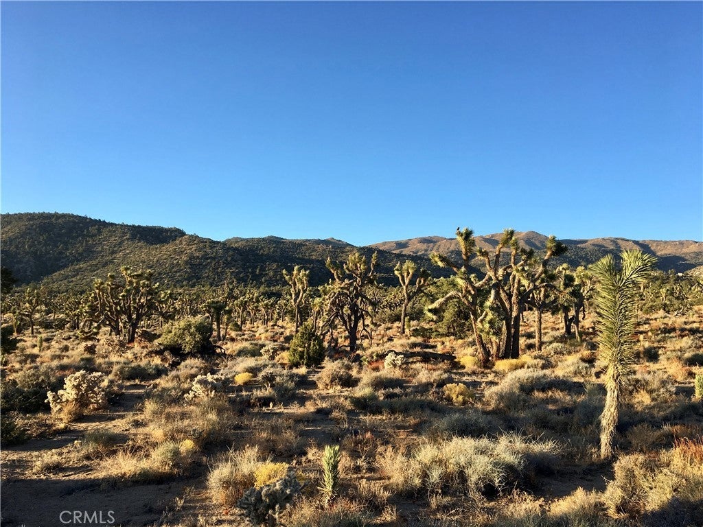 Photo of Listing #JT26062343