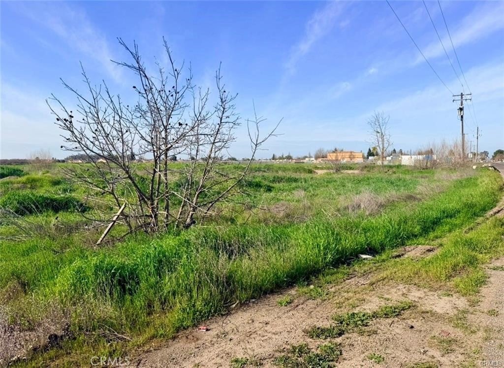 Photo of Listing #MC26062980