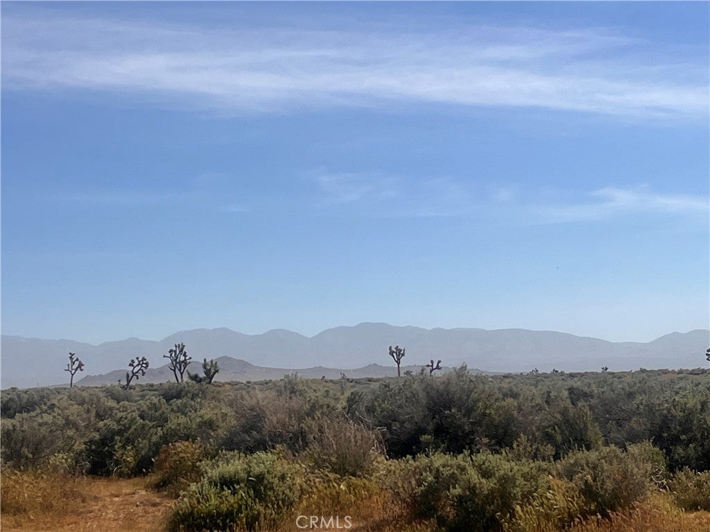 Photo of Listing #IG26063246