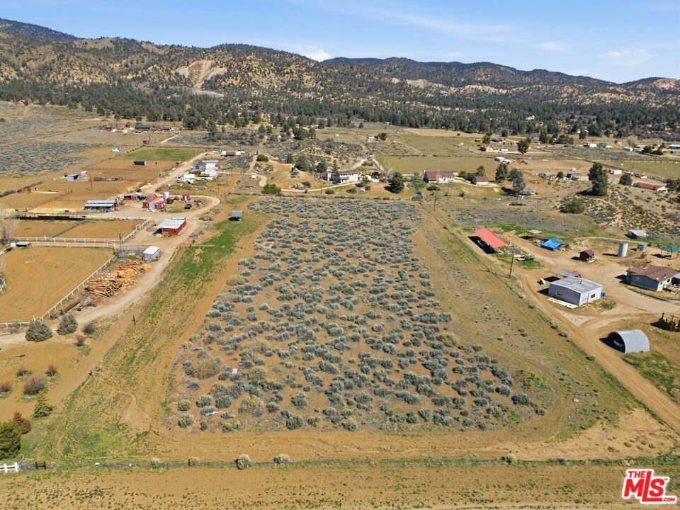 Photo of Listing #26668483