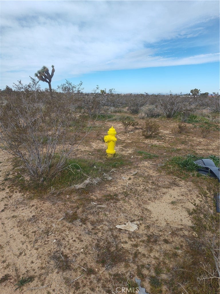 Photo of Listing #HD26026693