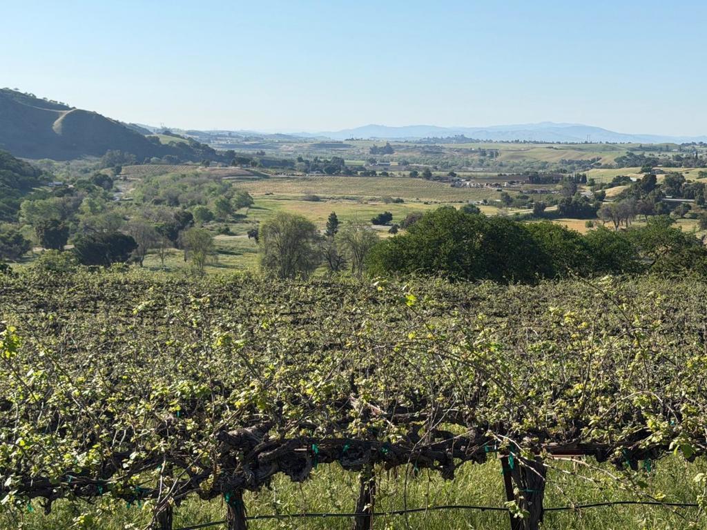 Photo of Listing #ML82040035