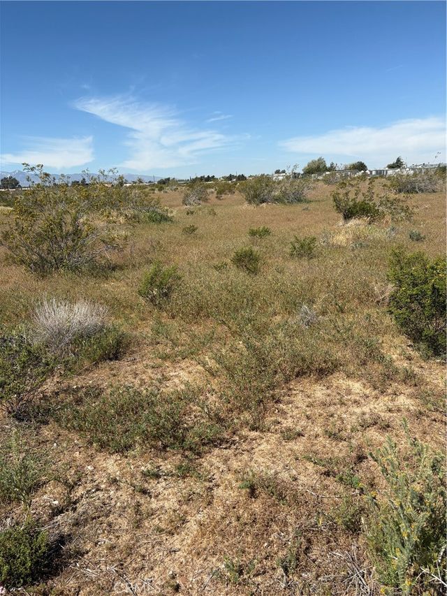 Hesperia Road, Hesperia