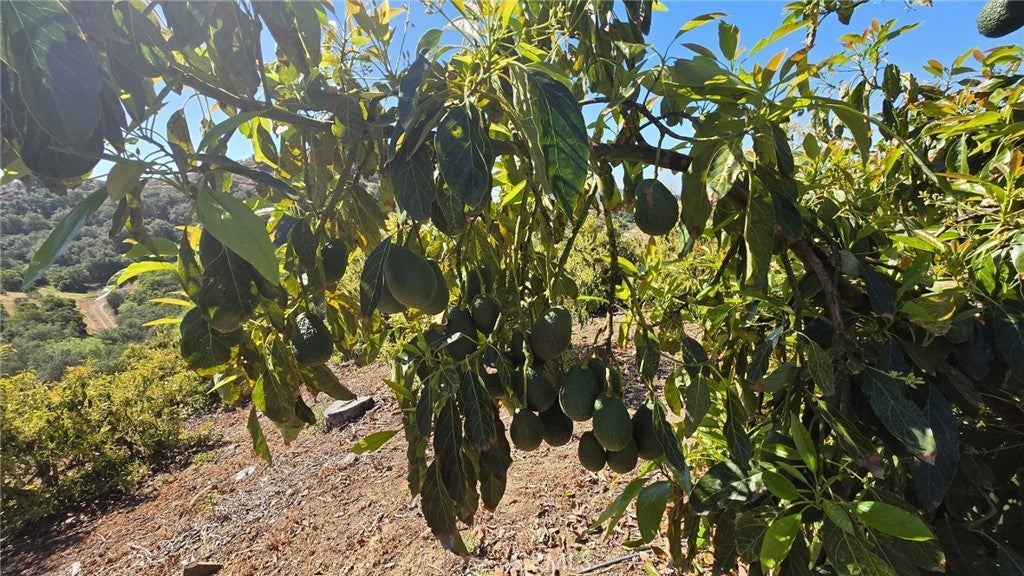 Photo of Listing #PW26063901