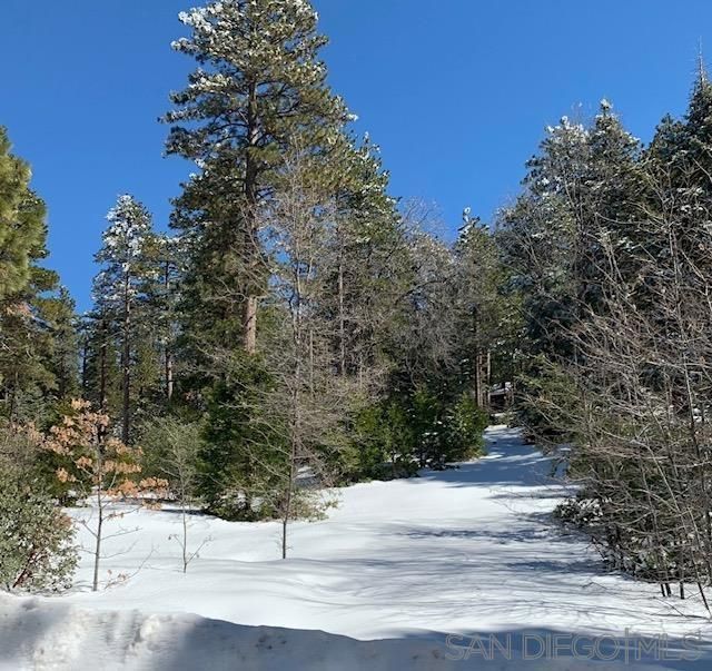 Laurel Trail, Idyllwild