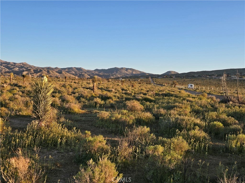 Photo of Listing #HD26064272