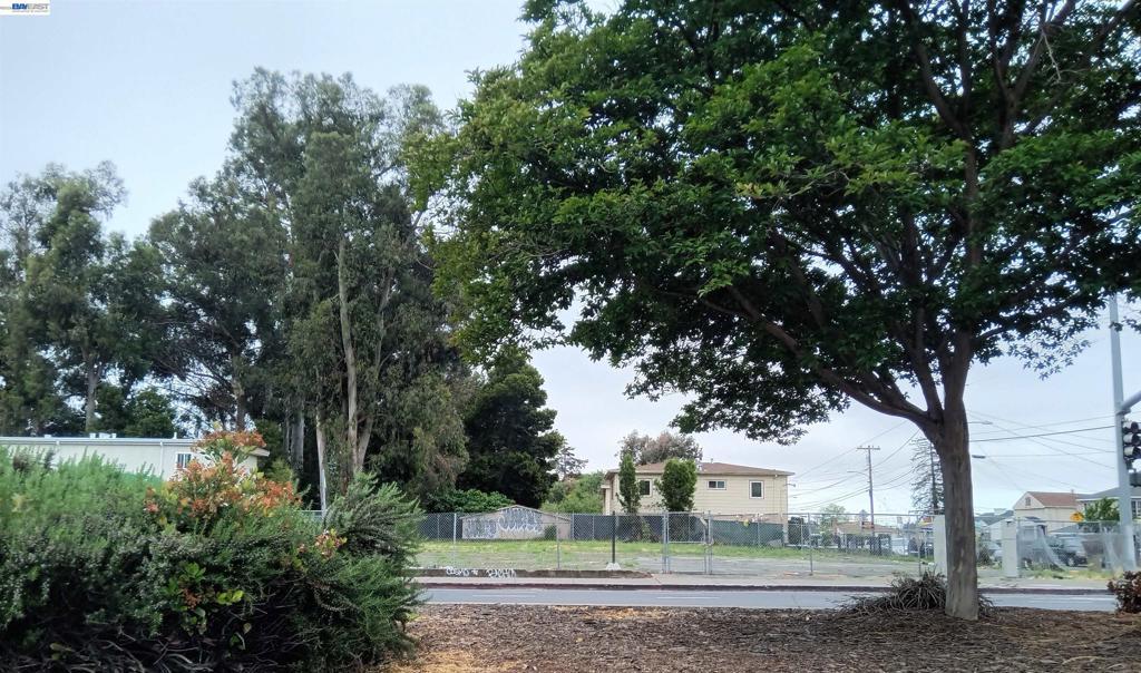 Photo of Listing #41128411