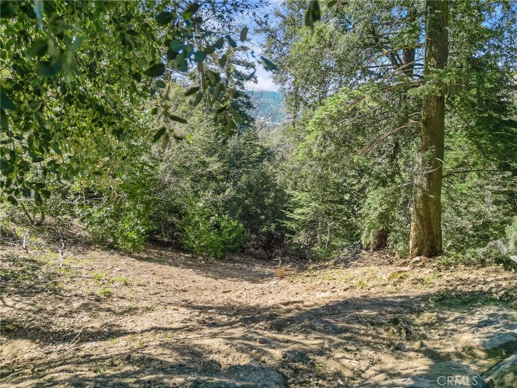 Chateau, Crestline