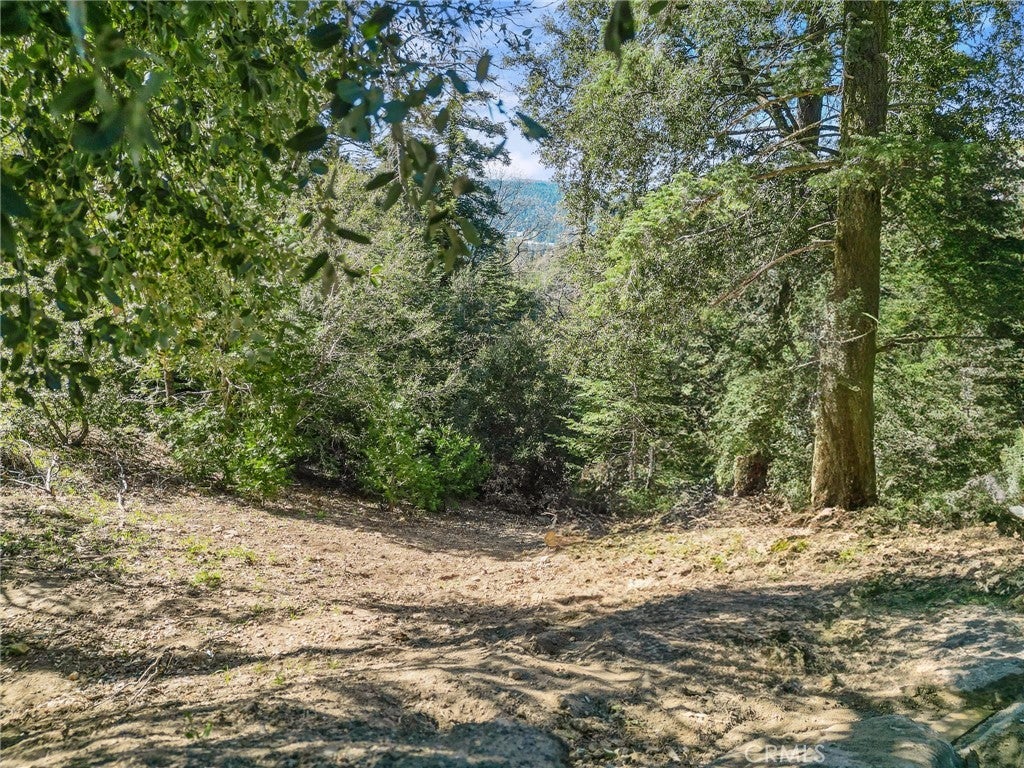 Photo of Listing #IG26051474