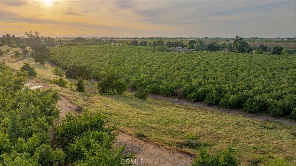 Photo of Listing #MC26064471