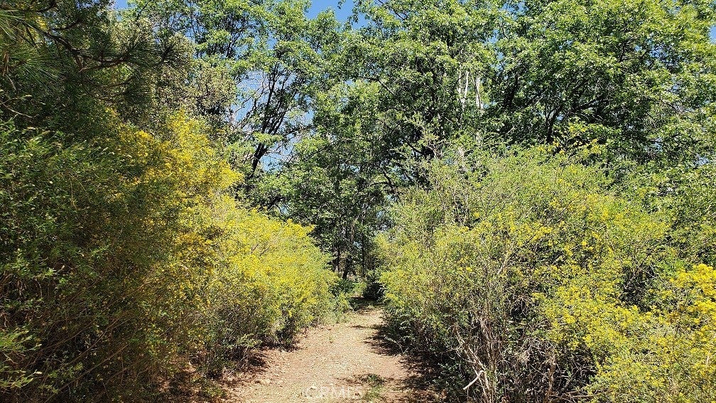 Photo of Listing #LC26061821