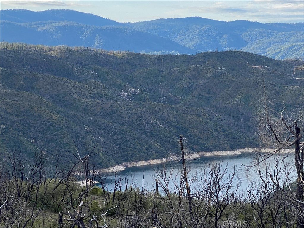 Photo of Listing #OR26059294