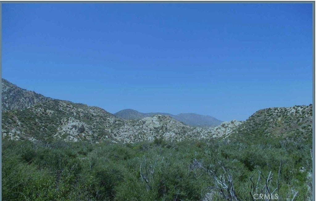 Photo of Listing #DW26064823