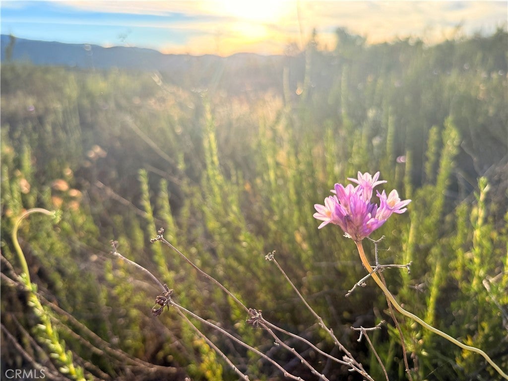 Photo of Listing #ND26065255