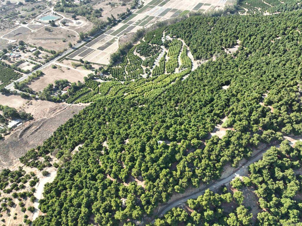 Photo of Listing #260007186SD