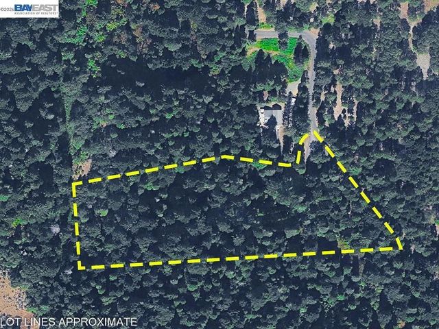 5890 Starkes Grade Rd, Pollock Pines