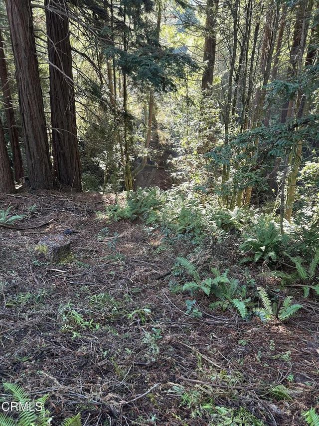 17500 Redwood Springs Drive, Fort Bragg