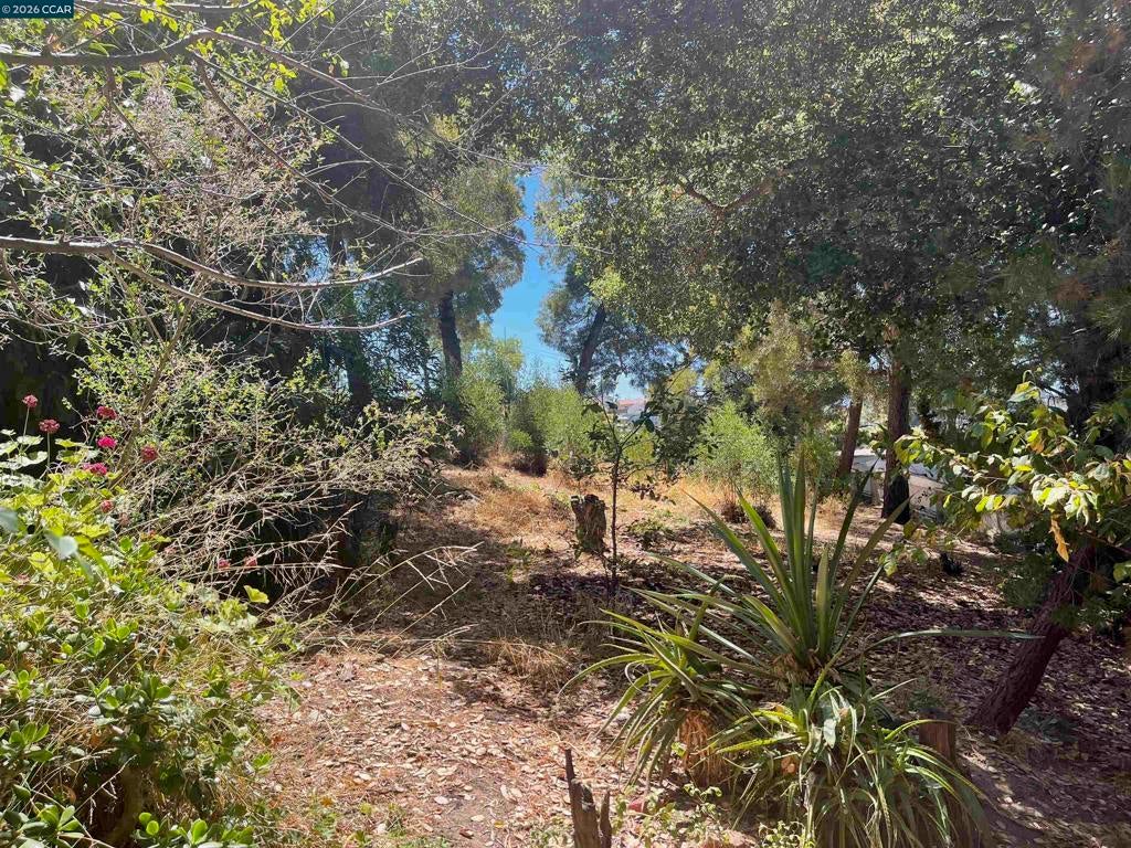 Photo of Listing #41128833