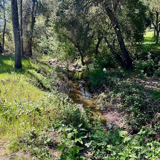 Photo of Listing #NS26063624