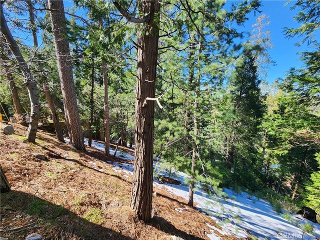 26236 Boulder Lane, Twin Peaks