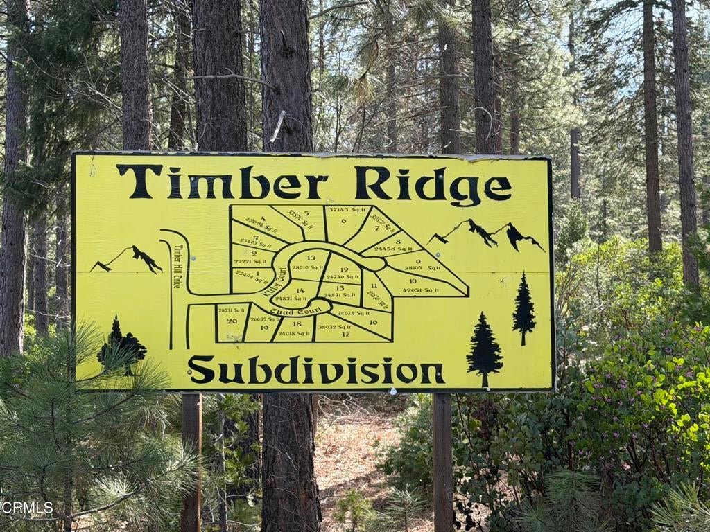 Photo of Listing #V1-35489